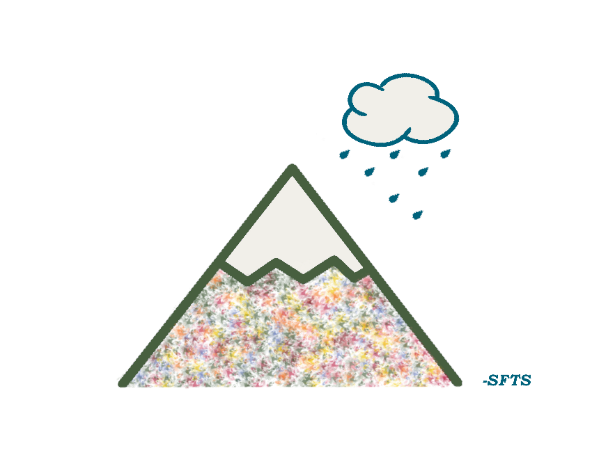 Sheltered from the storm